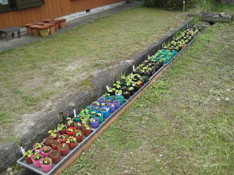 �`���`��������