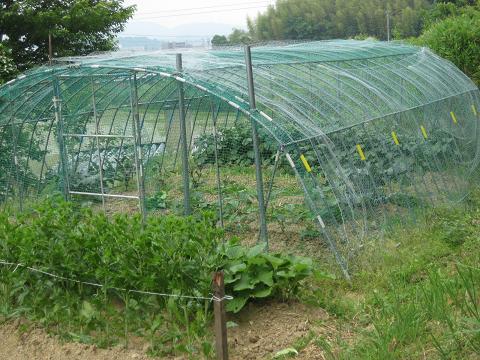 �`���`��������