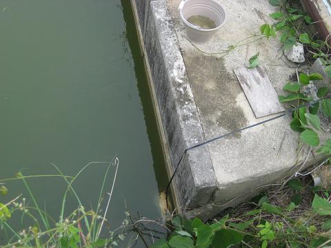 �`���`��������