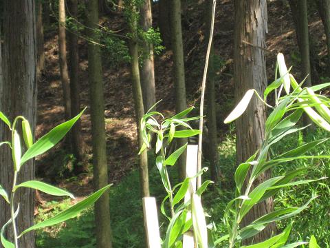 �`���`��������