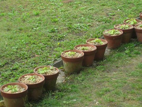 �`���`��������