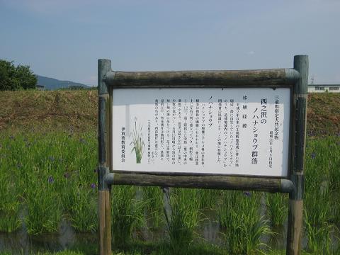 �`���`��������