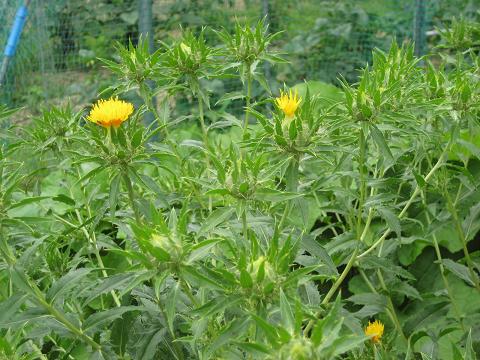 �`���`��������