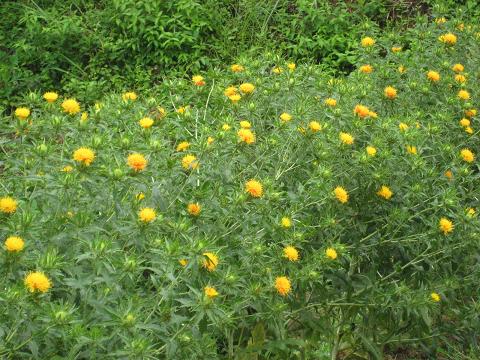 �`���`��������