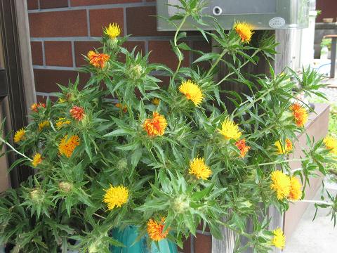 �`���`��������