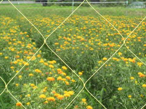 �`���`��������