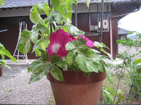 �`���`��������