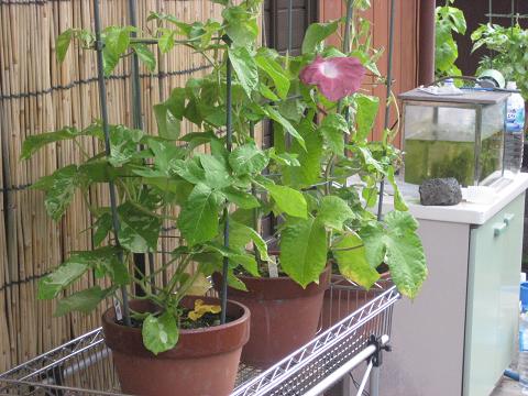 �`���`��������