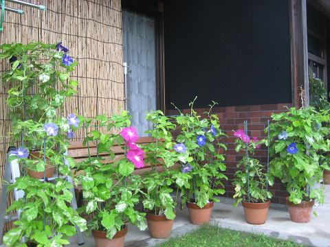 �`���`��������