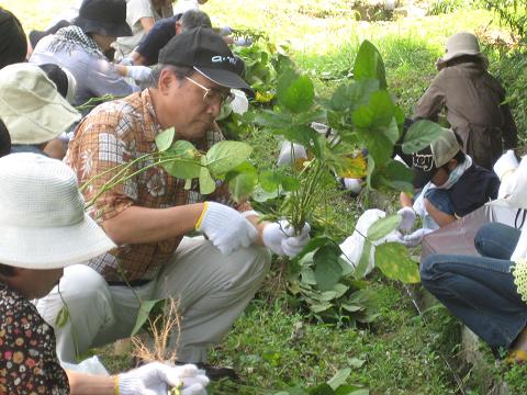 �`���`��������