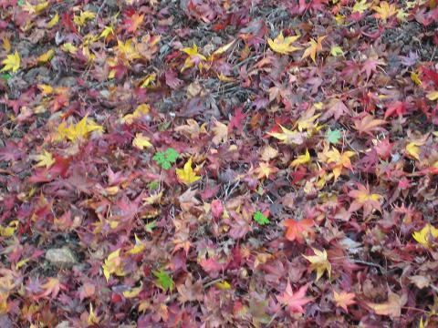 �`���`��������