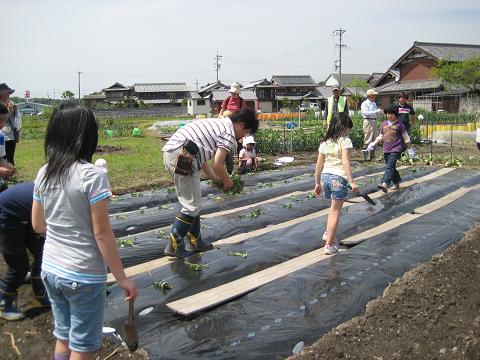 �`���`��������