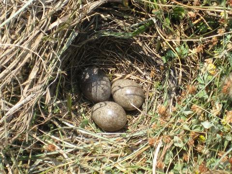 �`���`��������