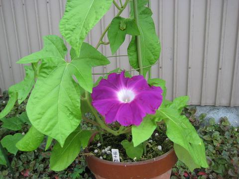 �`���`��������