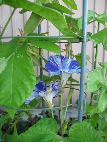 �`���`��������