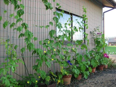 �`���`��������