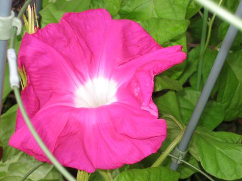 �`���`��������