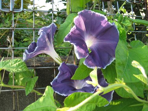 �`���`��������