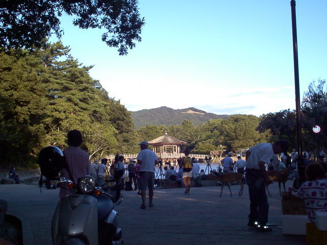 �`���`��������