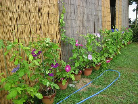 �`���`��������