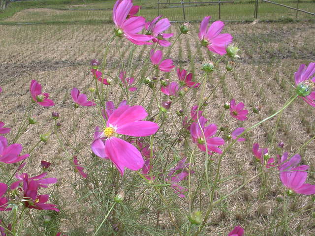 �`���`��������