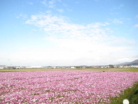 �`���`��������