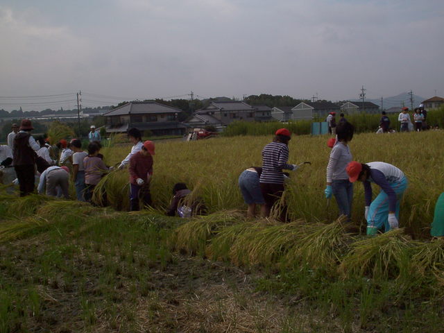 �`���`��������