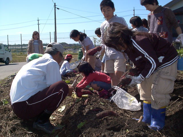 �`���`��������