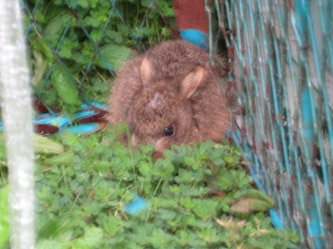 �`���`��������