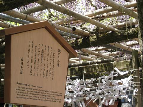 �`���`��������