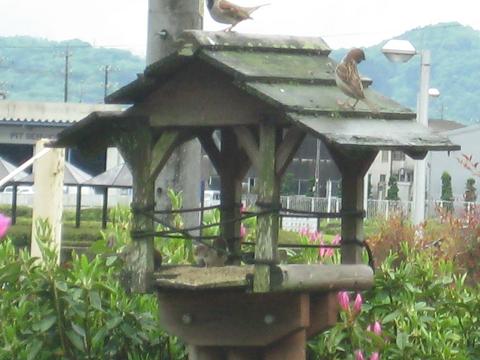 �`���`��������