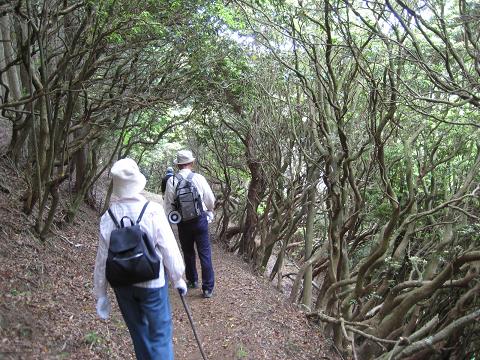 �`���`��������