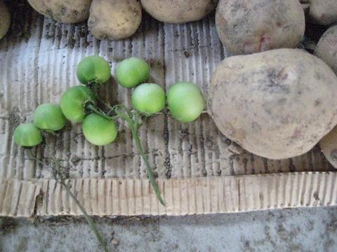 �`���`��������