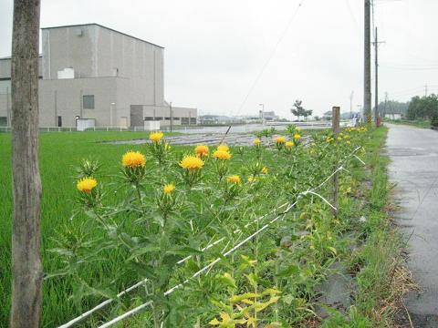 �`���`��������