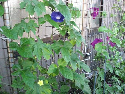 �`���`��������