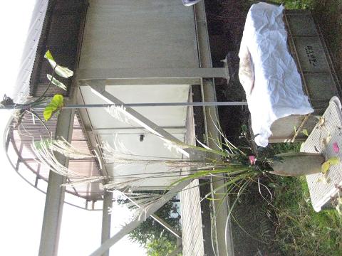 �`���`��������