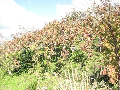 �`���`��������