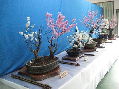 �`���`��������