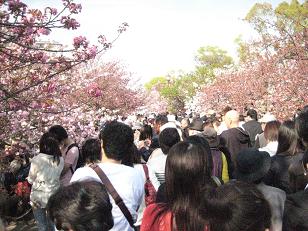 �`���`��������