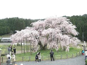 �`���`��������