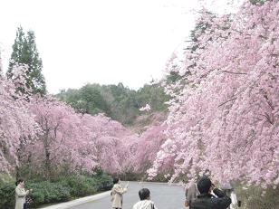 �`���`��������