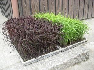 �`���`��������