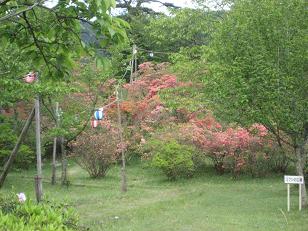 �`���`��������