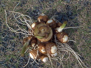 �`���`��������