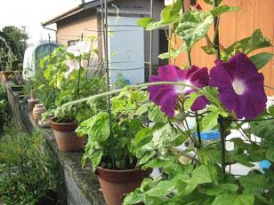 �`���`��������