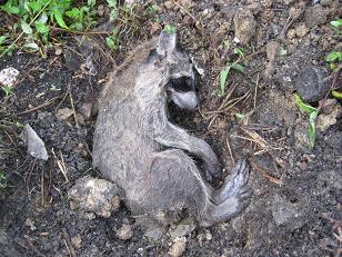 �`���`��������