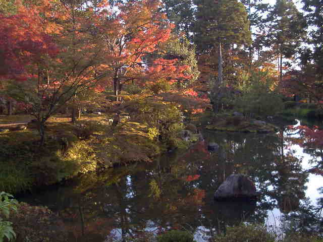 �`���`��������