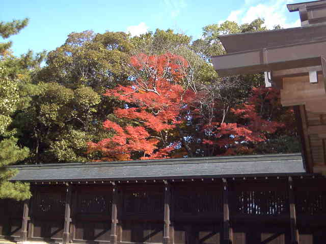 �`���`��������