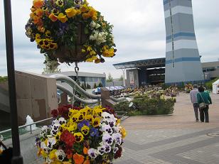 �`���`��������