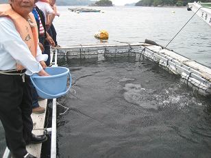 �`���`��������